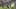 Game screenshot thumbnail 4