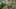 Miniature af spil-screenshot 5