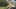 Thumbnail Spiel-Screenshot 5