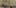 Miniature af spil-screenshot 4