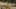Miniature af spil-screenshot 5