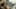 Miniatura de la captura de pantalla del juego 2
