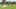 Game screenshot thumbnail 1