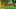 Miniature af spil-screenshot 2