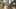Game screenshot thumbnail 5
