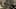 Miniature af spil-screenshot 2