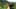 Miniatura screenshot del gioco 4