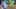 Thumbnail Spiel-Screenshot 5