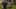 Miniature af spil-screenshot 2