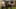 Miniature af spil-screenshot 3