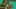 Miniature af spil-screenshot 1
