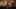 Miniatura de la captura de pantalla del juego 3