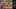 Miniature af spil-screenshot 5