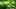 Miniature af spil-screenshot 3