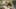 Miniature af spil-screenshot 4