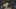 Miniature af spil-screenshot 5