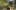 Thumbnail gamescreenshot 5