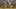 Miniature af spil-screenshot 1