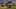 Miniature af spil-screenshot 4