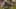 Miniature af spil-screenshot 2
