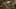 Miniature af spil-screenshot 3