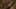 Miniatura da captura de ecrã do jogo 3