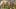 Miniature af spil-screenshot 4