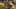 Miniature af spil-screenshot 5