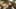 Miniatura de la captura de pantalla del juego 2