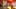 Miniature af spil-screenshot 1