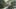 Miniatura de la captura de pantalla del juego 4