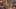 Miniatura de la captura de pantalla del juego 1