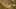 Miniatura de la captura de pantalla del juego 2