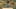 Thumbnail Spiel-Screenshot 1