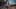 Miniatura screenshot del gioco 2
