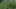 Thumbnail Spiel-Screenshot 4