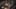 Miniature af spil-screenshot 4