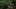 Miniatura screenshot del gioco 5