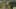 Miniature af spil-screenshot 4