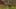 Thumbnail gamescreenshot 5