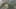Miniatura de la captura de pantalla del juego 4