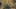 Miniature af spil-screenshot 2