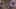 Miniature af spil-screenshot 4