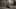 Thumbnail Spiel-Screenshot 5