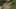 Miniature af spil-screenshot 4