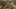 Miniature af spil-screenshot 5