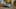 Miniatura da captura de ecrã do jogo 3
