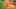 Miniature af spil-screenshot 5