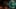 Miniature af spil-screenshot 3