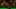 Miniature af spil-screenshot 4